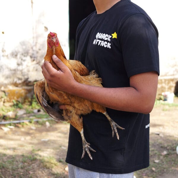 Quack Attack Black T-Shirt - Image 4